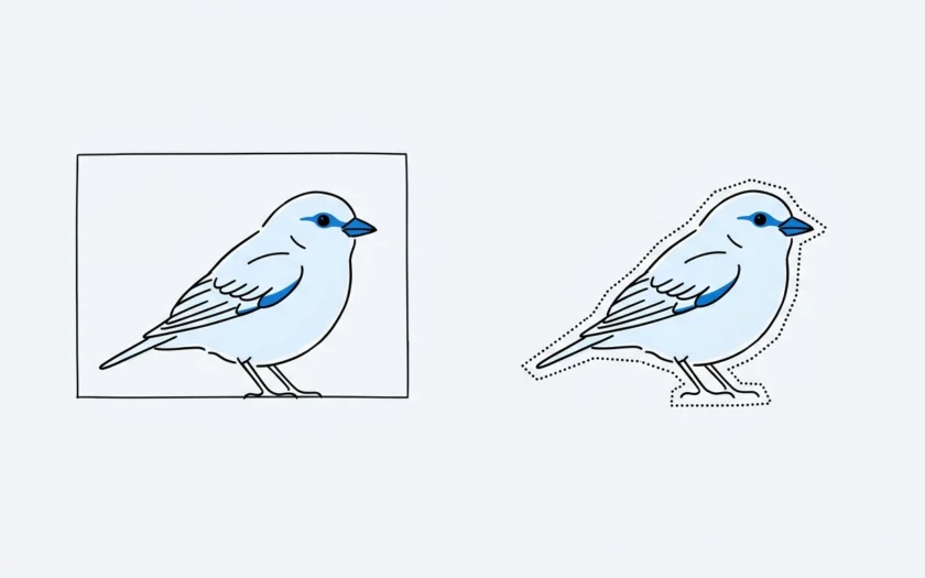 Bounding Boxes vs. Polygons: Choosing the Right Annotation Type